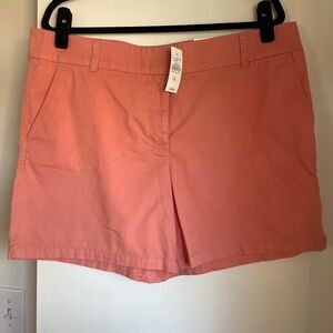 6” Loft Shorts